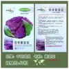 Semillas de Flor de Algas Cultivo de Huerto de Granja Verduras una Variedad de Coliflor Semillas de Flor de Algas