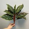 Monstera, Antúrio, Filodendro, Alocasia, Aspargo, Plantas Semelhantes a Samambaias, Plantas Artificiais para Decoração de Parede, Plantas Artificiais de Alta Qualidade no Atacado