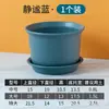 Maceta Corrugada Orquídea Maijia Maceta Creativa Distintiva para el Hogar Maceta para Carnes Maceta de Plástico Mediana Grande para Jardinería