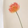 Alfiletero de Simulación Flor Espina Silvestre Apio Rama Única Flor Tyrannum Flor Garra de Cangrejo Erizo de Mar Crisantemo Flor Artificial Flor de Plástico Boda Decoración del Hogar