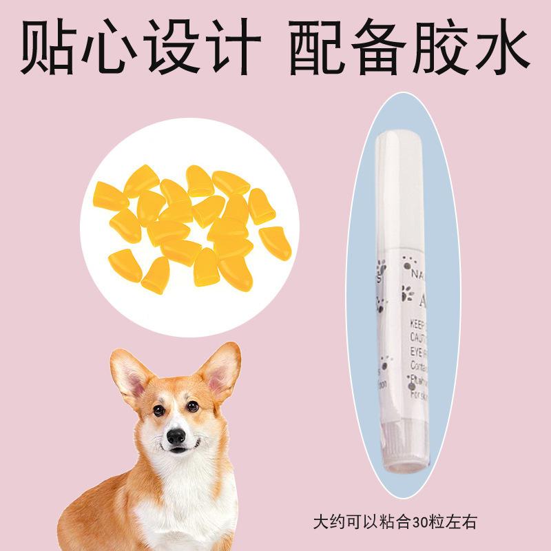 宠物指甲套 (2).jpg
