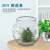 Acuario de Plástico, Tanque de Imitación de Cristal de Alta Definición Anticaídas para Mascotas, Tanque Transparente para Peces Dorados, Tanque para Peces Pequeños Tropicales, Tanque para Tortugas con Micro-Paisaje