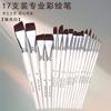 Pincel para pintura facial, pincel, pincel, 17 piezas, traje de agua, tiza, pincel para pintura al óleo, pincel acrílico, pincel para pintura al óleo, pincel de acuarela, fábrica de bolígrafos