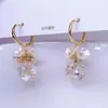 Novos Brincos Modernos com Flor de Pérola e Franja para Mulheres, Brincos de Luxo Leve e de Alta Qualidade com Personalidade Única e Estilo Versátil