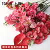 Shangjin 2026 Ano Novo Série Vermelha Floricultura de Antúrio Vermelho Artificial e Orquídea Phalaenopsis Buquês Artesanais com Materiais Florais Atacado
