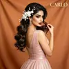 Cross- fronteira nupcial cocar estilo pastoral flor pente artesanal flor de cerâmica pente de cabelo antigo xiuhe acessórios de cabelo atacado