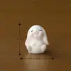 Adornos de paisaje en miniatura, conejo lindo de Año Nuevo animal, conejo adorable de jardín de paisaje en miniatura, accesorios de adornos de resina