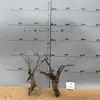 Tocones de Árbol Muerto Ramas Modelo Microscópico Escena Fabricación Suministros para Mascotas Base de Figura Embellecimiento de Fondo Decoración Obstáculo