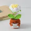 Flor de Tricô de Energia Positiva Transfronteiriça Planta em Vaso Produto Acabado Fio de Lã Flor de Simulação Ornamento de Mesa Boneca de Cartão de Mão