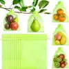 Bolsas de Malla Transpirable Verde para Protección de Frutas, a Prueba de Insectos y Pájaros, con Cordón, Disponibles en Stock de Fábrica, Pueden ser Comprimidas al Vacío para Empaquetar
