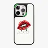 Producto popular transfronterizo: Funda de Teléfono para PC con Panel Trasero Magnético, Adecuada para el Nuevo Modelo Apple 15Pro, Cubierta de Teléfono con Panel Trasero Desmontable