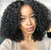 AliExpress transfronterizo peluca africana de rollo pequeño cabeza explosiva esponjosa femenina venta caliente mecanismo fibra química cobertura completa de cabeza europea y americana en stock