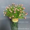 Simulación de plantación verde Gymnolus para boda, ramo de flores con pegamento suave, cifrado manual, Gymnolus de plástico, simulación de flores falsas al por mayor