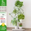 Estante de flores de hierro de varios niveles de pie para sala de estar, nuevo modelo de estante de exhibición para plantas verdes de interior en balcón