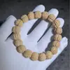 Pulseira de Sementes de Rudraksha Pequenas de Linhagem Pura com Círculo Único, Sementes Originais, Textura Rica, Padrão de Dragão Duplo, Item Colecionável Raro para Homens