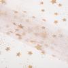 Tecido de malha estrela de cinco pontas rosa dourado brilhante Caixa de Presente de Halloween tecido decorativo para fotografia roupas infantis tule de fio de estrela rosa brilhante