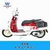 Coche muscular Wolf adecuado para el sur de Feige 150 bolsa lateral bolsa lateral caja lateral retro modificación bolsa para casco impermeable liberación rápida