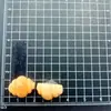 Mini Croissant a la Parrilla de Carbón Croissant de Crema DIY Accesorios de Resina Pasador Hecho a Mano Diadema Material para Joyería