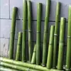 Tubos de Bambú Verde, Cañas de Bambú Huecas, Herramientas para Manualidades DIY para Jardín de Infancia, Tubos de Bambú Crudo