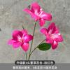 3 Lirios Hemerocallis Adornos para centros comerciales Decoración de bodas Floricultura Monet Jardín Paisajismo Tienda Diseño de fiestas