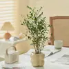 Planta Verde de Escritório Carmesim em Vaso para Sala de Estar Interior Desktop Ornamentos Absorvem Formaldeído e Purificam o Ar