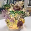 Luz de Noche DIY con Sentido de Atmósfera, Regalo Creativo, Mariposa de Flor Eterna Regalo de Cumpleaños para Niñas, Exquisita Luz de Noche de Mariposa