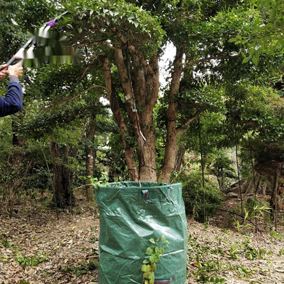微信图片_20190614113153 拷贝