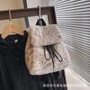 Bolsa de pelúcia imitação de mink transfronteiriça nova bolsa feminina outono e inverno de alta qualidade bolsa Mao Mao bolsa de ombro de pelúcia imitação de alto valor atacado