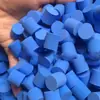 Esponja de PVA bloqueadora de agua Suministros para hormigas Esponja bloqueadora de agua para tubo de ensayo Cilindro pequeño Tapón para tubo de ensayo hidratante Simple y conveniente