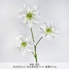 Nuevo Modelo de Flores Artificiales: Flores de Begonia de 3 Cabezas, Lirios Monet Oro y Jade, Flores Artificiales para Decoración de Bodas, Accesorios de Fotografía, Arreglos Florales, Transfronterizo