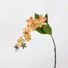 Colgante de planta Fruto de aliso Pegamento suave Fruto de frijol del amor Colgante de pared Decoración de paisajismo Accesorios para arreglos florales Seda suave