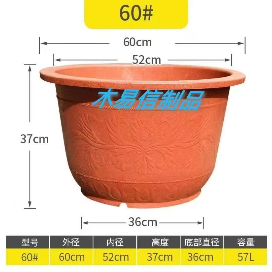 60红