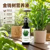 Não é necessária diluição Solução nutritiva especial Money Tree Folhas amarelando fertilizante de folhagem Vasos de plantas Money Tree fertilizante especial