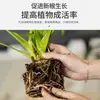 Fertilizante composto universal para hortaliças, alta eficiência, liberação rápida, fertilizante de longa duração para flores, frutas e hortaliças, fertilizante NPK de liberação lenta