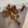 Paquete de materiales DIY hecho a mano flores mixtas plantas flores secas estilo bosque de jardín de infantes creación de anillos decoración piñas de Navidad