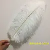 Plumas de Avestruz Reales 10-80CM Blancas Decoraciones para Pasillo de Boda Centros de Mesa Plumas de Avestruz DIY Accesorios Decorativos de Plumas Plumas Grandes