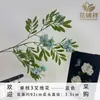 Nuevo Estilo de Rama Única Flor de Sophora de 3 Pétalos Flor Artificial Adornos de Decoración para Sala de Estar Jarrón Seda Accesorios para Fotografía de Bodas Venta al por Mayor
