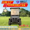 Carritos de Golf Eléctricos, Vehículos Turísticos, Vehículos para Turistas en Lugares Pintorescos, Vehículos de Recepción de Hotel, Vehículos de Patrulla Todoterreno para Campos de Golf, Calidad de Exportación