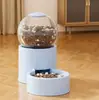Bebedouro automático para gatos, comedouro automático para cães, bebedouro para gatos de estimação, tigela de água corrente não elétrica