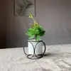 Pequeño soporte de flores de mesa carnoso florero mini creativo forma geométrica redondo diamante cerámica pintura de hierro
