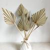 Fábrica de fornecimento de buquê de flores secas arranjo de flores decoração para casa estilo ins atmosfera de casamento decoração buquê atacado