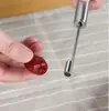 Extractor de manzanas de acero inoxidable, removedor de huesos de frutas, herramienta para extraer huesos de espino albar, dátiles rojos y cerezas