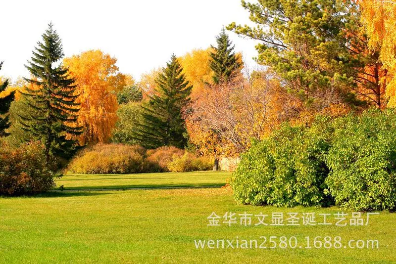 9290BB74AEB23A6808CD7DF6C7D7EE