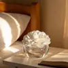 Flores Aromaterápicas Artesanais Mais Vendidas com Núcleo, Flores de Rosa com Fio de Algodão, Flores para Difusor de Aroma Sem Chama, Flores Secas para Decoração de Hotel