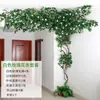 Folhas, galhos, videiras, flores artificiais, trepadeiras, canos, pilares, plantas trepadeiras, plantas verdes, plantas de parede, cobrindo imperfeições, decorações