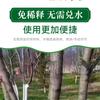Agente blanqueador para tronco de árbol, Agente blanqueador para árboles, Árbol frutal a prueba de insectos, Árbol grande, Huerto de cítricos, Planta blanqueadora Anticongelante