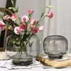 Jarrón de cristal redondo de vientre grande estilo ins, jarrón de flores hidropónico simple y creativo, decoración para arreglos florales de sala de estar, artesanías