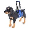 Arnés de Suministros para Mascotas Personalizado Listo para Usar, Correa, Cinturón de Soporte para la Cintura para Perros Mayores, Cinturón de Soporte para Perros Discapacitados