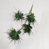 Efecto de tinte en flor de plástico no regresa, no cambia color verde de boda planta verde fresca pequeña material de hoja hierba creciente niebla