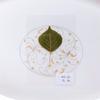 Paquete de Plástico Planta Espécimen de Flor Seca Hojas Reales Naturales Hojas de Barrage Material Hecho a Mano para Niños Marcapáginas de Trébol de Cuatro Hojas Productos Terminados